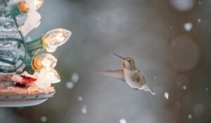 OceanWP Theme The Ultimate Tool for Showcasing Your Ocean Photography Talent