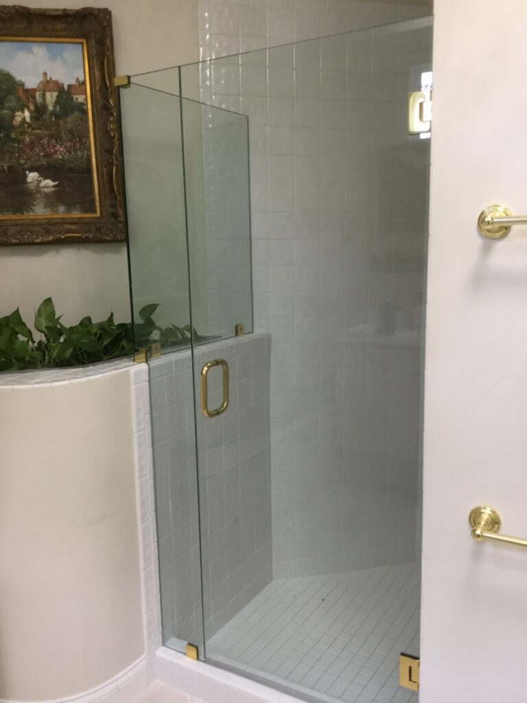 Read more about the article Shower Door of the Day!